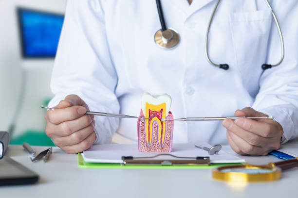 Best Emergency Treatment for Oral Infections in Stamps, AR